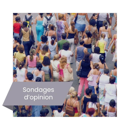 Enquêtes d'opinion sur-mesure 4 sondages opinion et enquête de notoriété